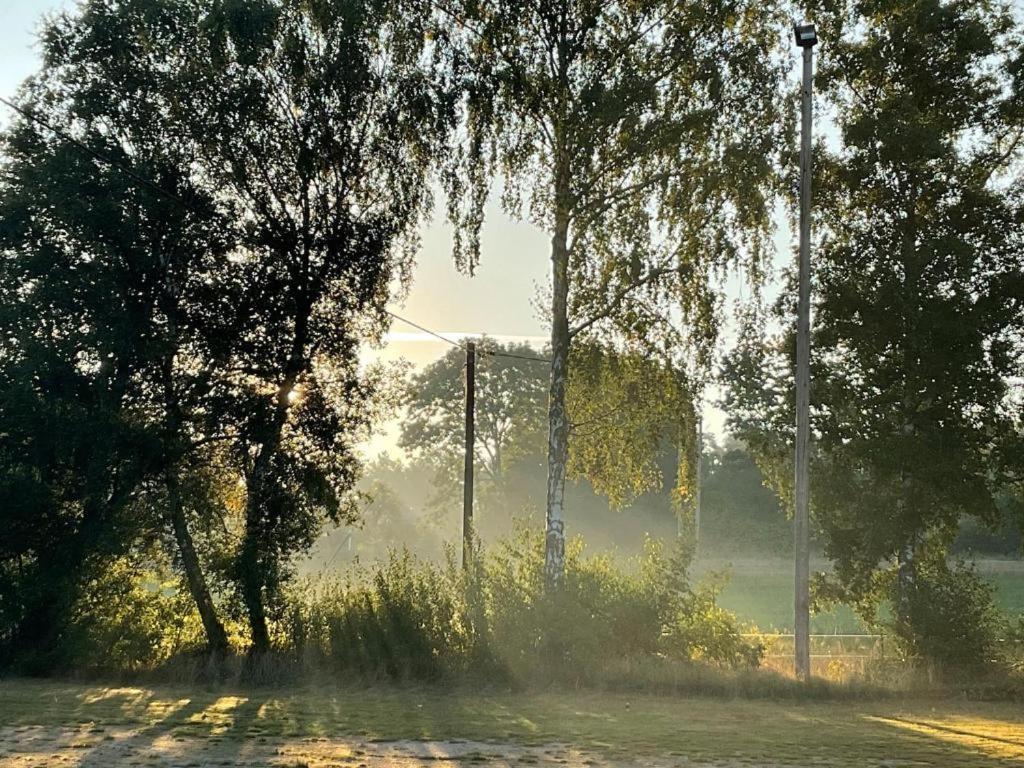 Raella Camp - Oeland Otel Borgholm Dış mekan fotoğraf